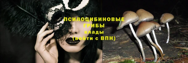 крисы Пролетарск