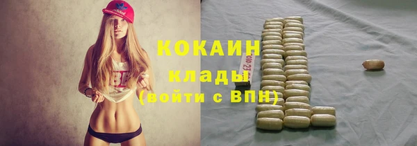 молекула духа Приозерск