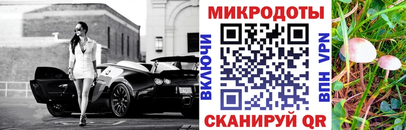 darknet как зайти Бологое Псилоцибиновые грибы Psilocybine cubensis